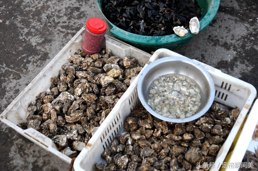 青岛早市  新鲜海货不多 养殖鸦片鱼18一斤 纯海捕野味还需等半月