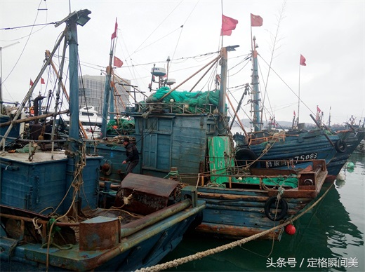 青岛早市  新鲜海货不多 养殖鸦片鱼18一斤 纯海捕野味还需等半月