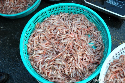 青岛早市  新鲜海货不多 养殖鸦片鱼18一斤 纯海捕野味还需等半月