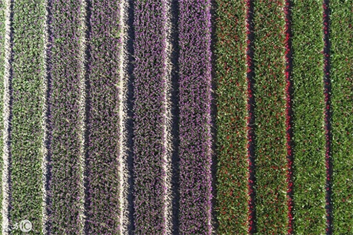 我,慕容云海,对着天空,对着大地,对着彩虹发誓!