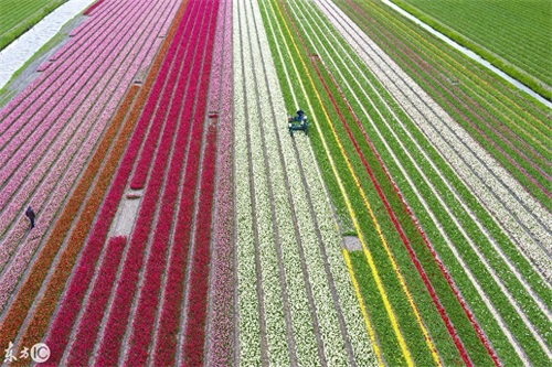 我,慕容云海,对着天空,对着大地,对着彩虹发誓!