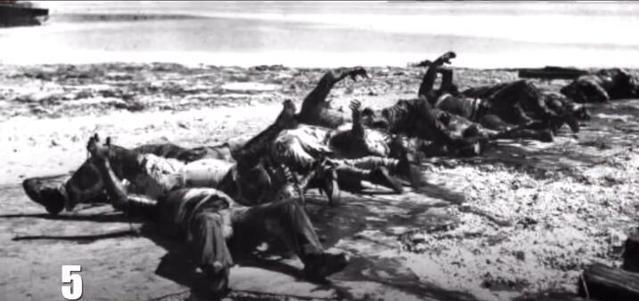 履历上简直的丧尸事变