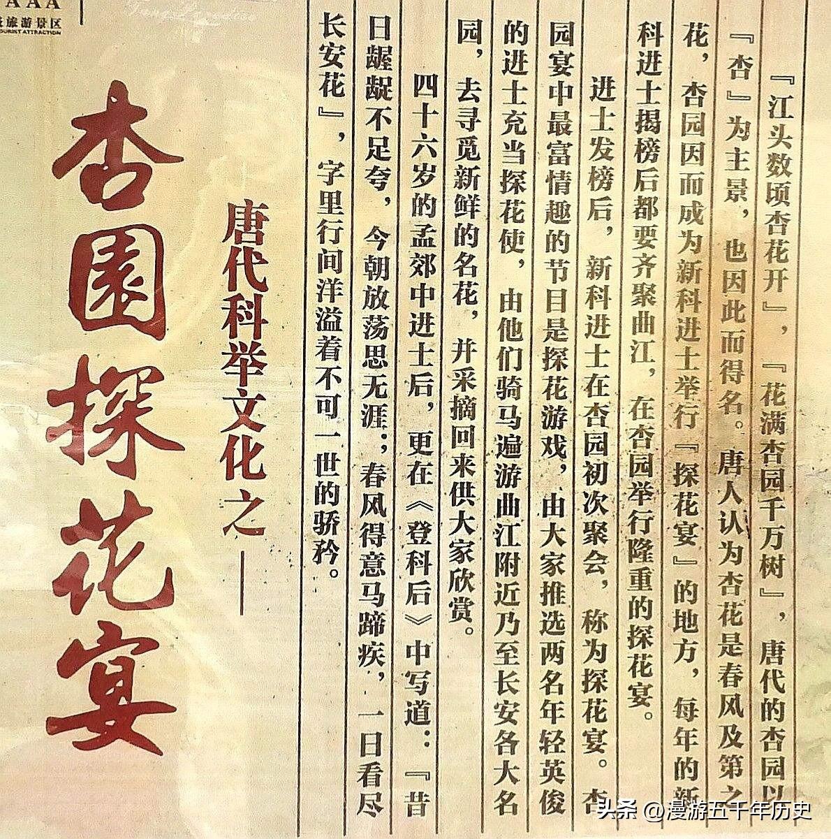 探花是第二名还是第三名(探花其实是最帅的那个)-