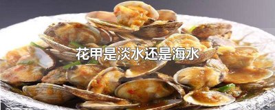 ​花甲是海水还是淡水养殖 花甲生活在淡水还是海水里面