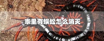 ​怎么除掉家里的蜈蚣 家里出现蜈蚣了 怎么除蜈蚣啊
