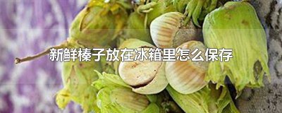 ​榛子怎样储存才能长久保鲜 新鲜榛子怎么保存能保持新鲜