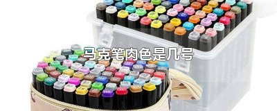 ​肉色的色号马克笔 马克笔的肉色是几号色
