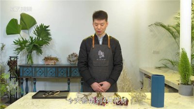 ​干枝花怎么插瓶子 干枝花怎么插瓶养