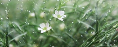 ​过了春分天气会不会暖和 春天来了还会冷吗