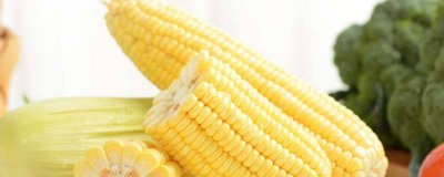 ​生玉米煮多长时间才能熟 冷冻生玉米直接煮还是化冻后再煮