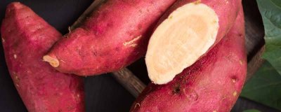 ​红薯发芽可以吃吗 红薯发芽还能吃吗?有毒吗?