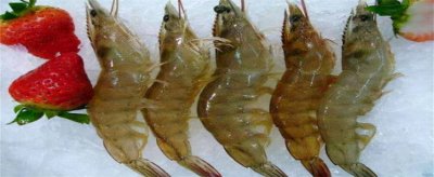 ​怎么判断虾的新鲜程度 怎样判断虾的新鲜程度