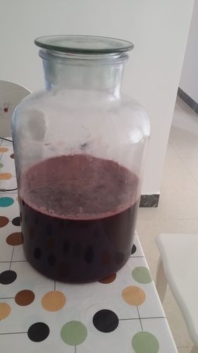 滤葡萄酒发现结晶