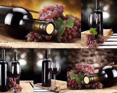 ​五粮液长江龙45.  五粮液长江龙酒价格查询