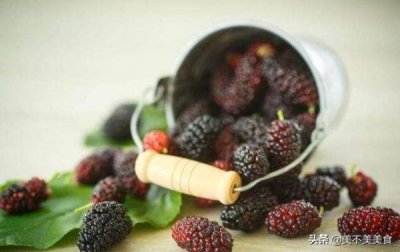 ​一斤桑葚能酿多少酒(鲜桑葚多少钱一斤)