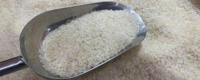 ​真空大米能存放三年吗