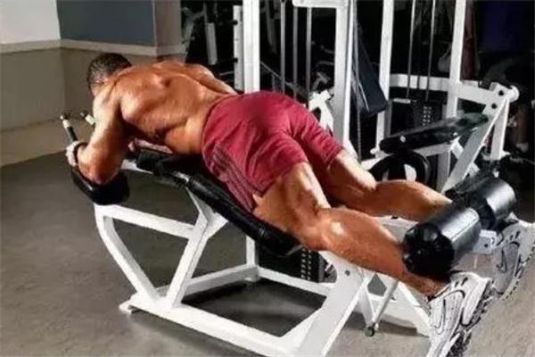 俯卧腿弯举的标准动作 俯卧腿弯举练哪里