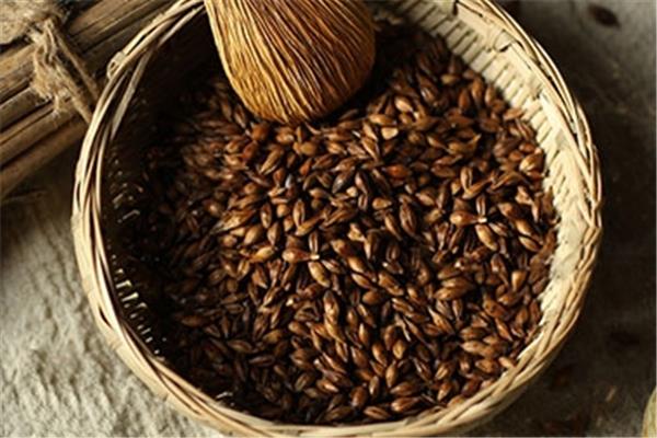 大麦茶可以天天喝吗 大麦茶长期喝会怎样 大麦茶可以天天喝吗 大麦茶长期喝会怎样