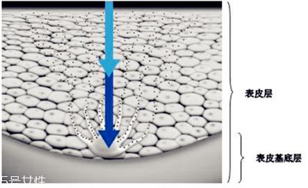 干性皮肤怎么去斑最好 坚持3原则斑点拜拜 干性皮肤怎么去斑最好 坚持3原则斑点拜拜