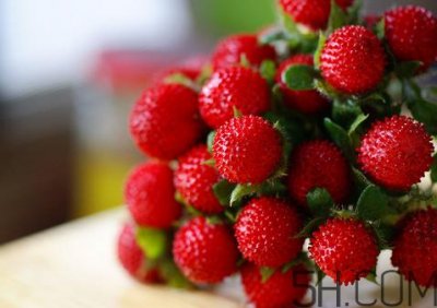 ​野草莓吃了有什么好处?覆盆子的食用方法