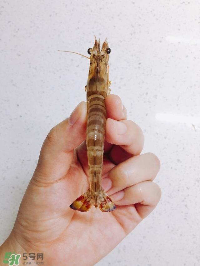 基围虾虾线怎么去除 基围虾去虾线图解 基围虾虾线怎么去除 基围虾去虾线图解