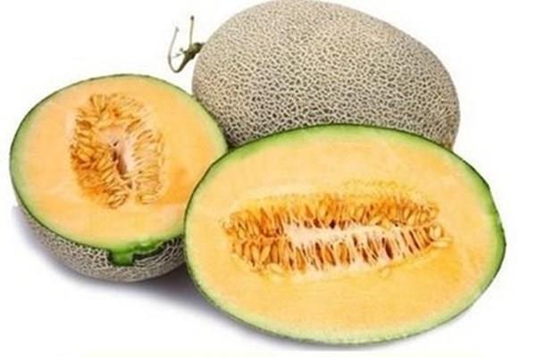 哈密瓜外面发霉了还能吃吗 吃了发霉的哈密瓜会怎样