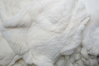 ​怎么用颜色来鉴别獭兔皮草 獭兔毛有几个等级