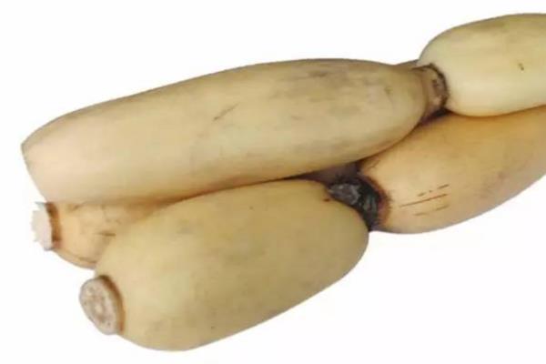 莲藕为什么会有丝 莲藕的特性