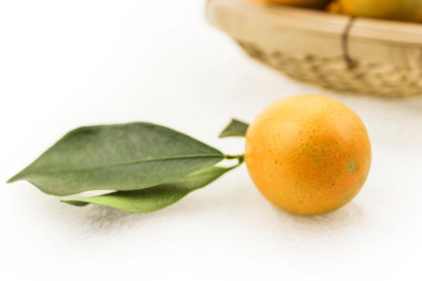 小金桔会回奶吗 小金桔会胖吗