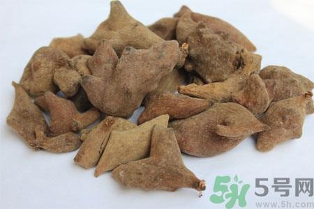 五倍子的功效与作用 五倍子的药用价值 五倍子的功效与作用 五倍子的药用价值