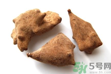 五倍子的功效与作用 五倍子的药用价值 五倍子的功效与作用 五倍子的药用价值