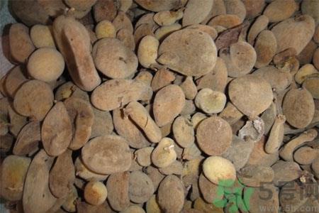 五倍子的功效与作用 五倍子的药用价值 五倍子的功效与作用 五倍子的药用价值