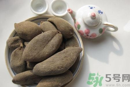 五倍子的功效与作用 五倍子的药用价值 五倍子的功效与作用 五倍子的药用价值