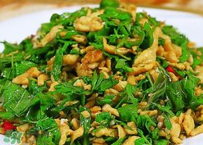 香椿可以生吃吗？香椿能生吃吗？