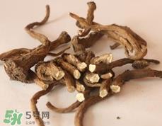 蒲公英根可以抗癌吗?蒲公英根真的能抗癌吗?