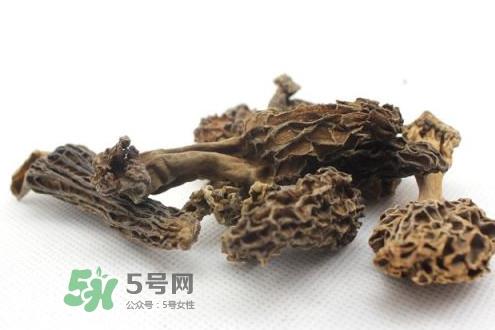 羊肚菌为什么那么贵?羊肚菌为什么这么贵 羊肚菌为什么那么贵?羊肚菌为什么这么贵