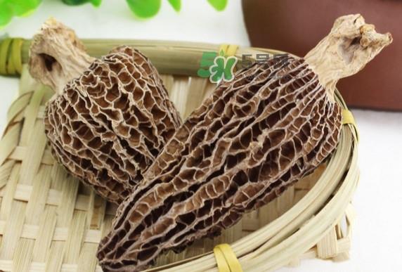 羊肚菌为什么那么贵?羊肚菌为什么这么贵 羊肚菌为什么那么贵?羊肚菌为什么这么贵