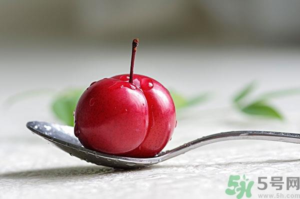 吃李子会胖吗?李子的热量是多少 吃李子会胖吗?李子的热量是多少