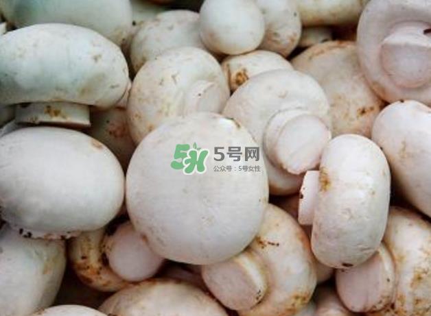 蘑菇变黑了还能吃吗？蘑菇怎么保存？