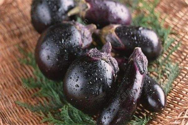 茄子为什么掉色 原因是这样 茄子为什么掉色 原因是这样