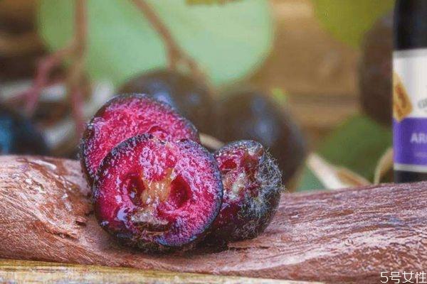 什么野樱莓呢 野樱莓有什么营养价值呢 什么野樱莓呢 野樱莓有什么营养价值呢