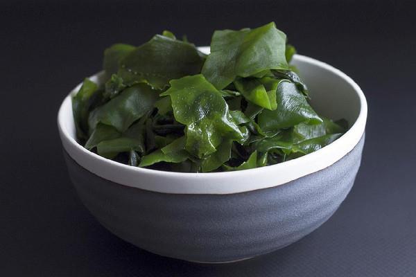 裙带菜长白毛还能吃吗 裙带菜可以保存多久 裙带菜长白毛还能吃吗 裙带菜可以保存多久