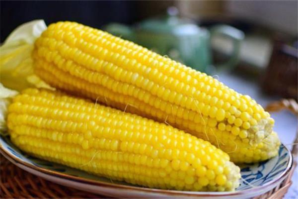 煮玉米的时候要放盐吗 煮玉米为什么要放盐