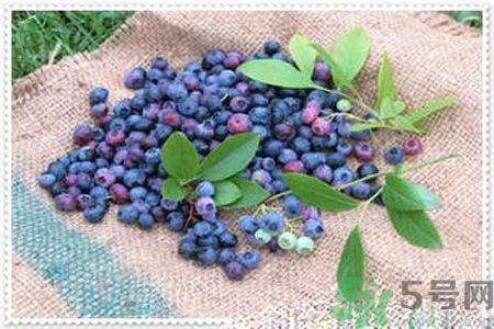 蓝莓果酱怎么做好吃？蓝莓果酱的做法