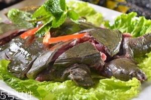 野生甲鱼怎么杀 野生甲鱼的处理方法