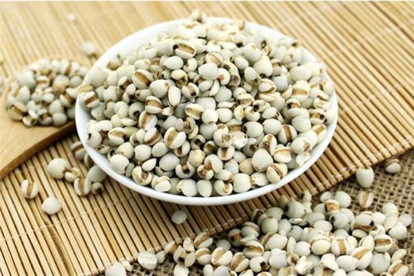 薏米需要炒吗 薏米需要炒多久 薏米需要炒吗 薏米需要炒多久