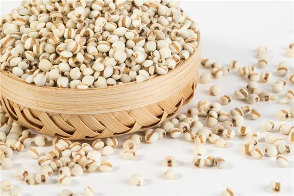 薏米需要炒吗 薏米需要炒多久 薏米需要炒吗 薏米需要炒多久