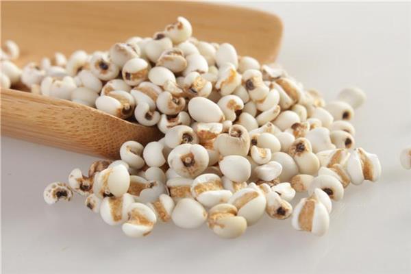 薏米需要炒吗 薏米需要炒多久 薏米需要炒吗 薏米需要炒多久