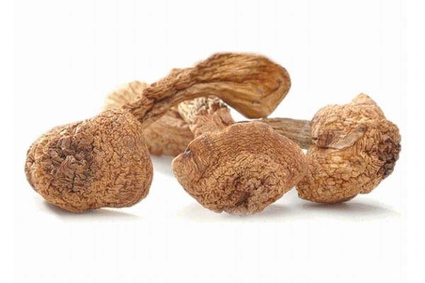 松蘑和什么一起吃最有营养 松蘑和什么一起吃最有营养