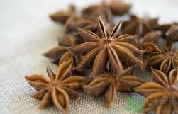 煲汤可以放八角吗?煲汤能放八角吗? 煲汤可以放八角吗?煲汤能放八角吗?